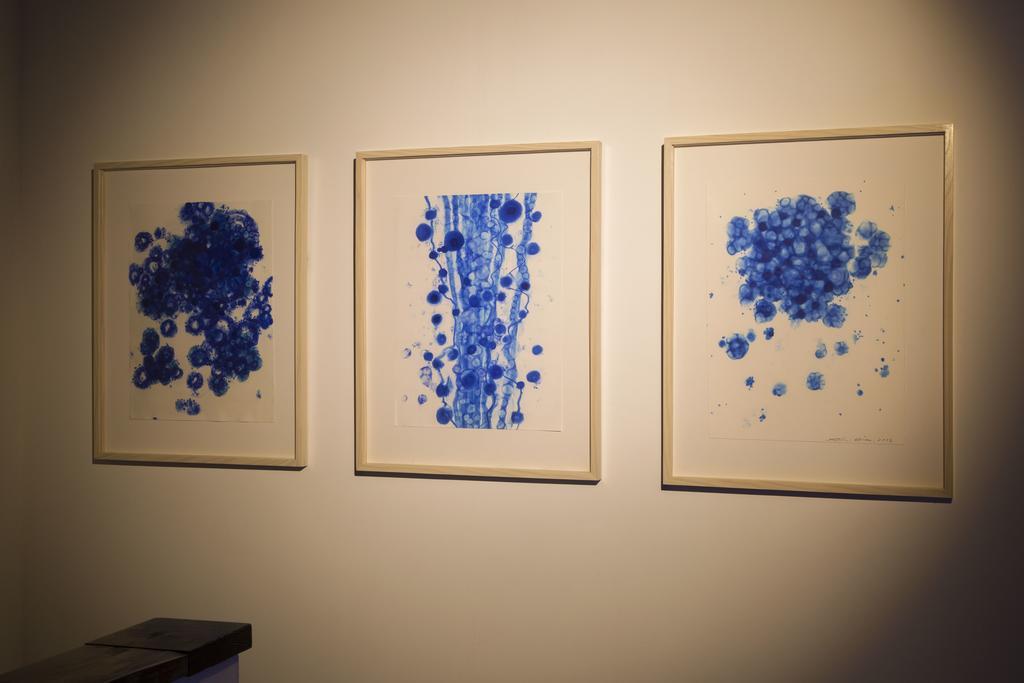 别府 Art House Project The Row House Of Hamawaki酒店 外观 照片